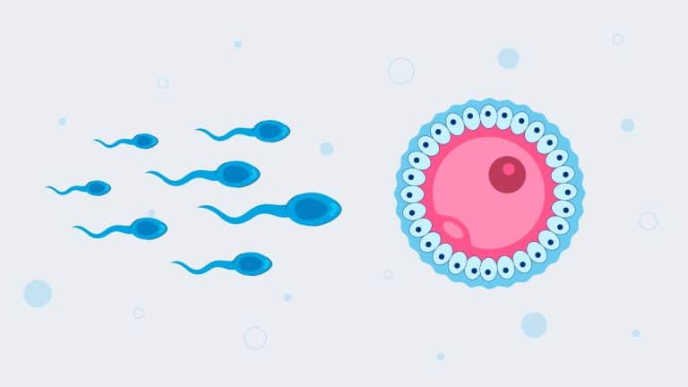 Epigenetics